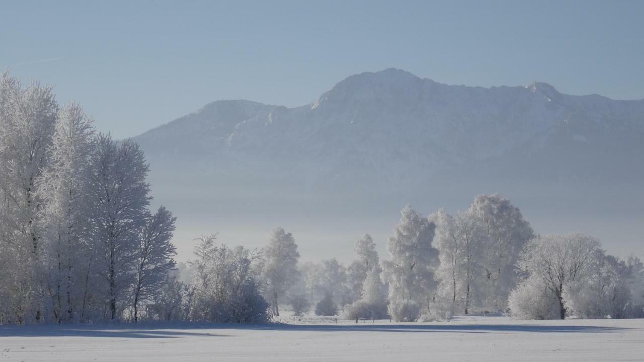 Im-Oberland - Tal - Διαμέρισμα Bad Kohlgrub Εξωτερικό φωτογραφία